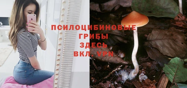 ПСИЛОЦИБИНОВЫЕ ГРИБЫ Аркадак