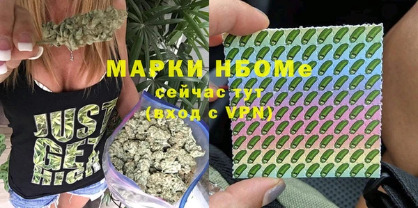 a pvp Алзамай